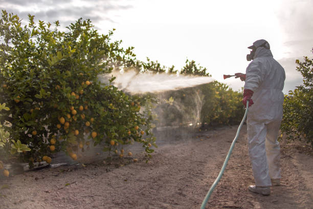 Best Emergency Pest Control  in Trenton, OH