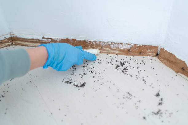 Best Wildlife Control Services  in Trenton, OH