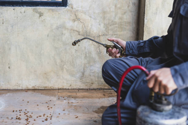 Best Rat Extermination Near Me  in Trenton, OH