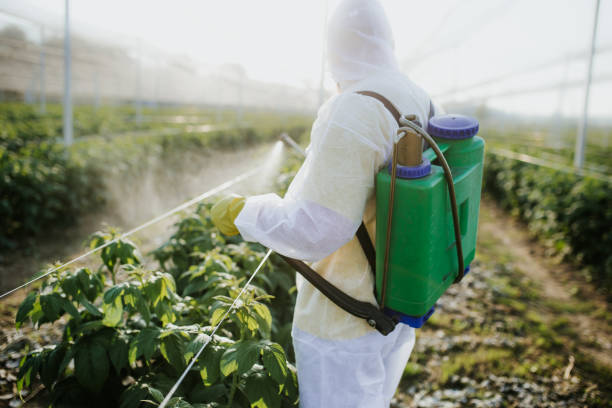 Best Pest Control Near Me  in Trenton, OH
